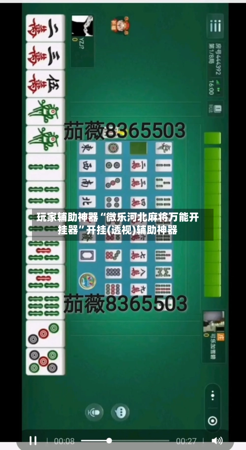 玩家辅助神器“微乐河北麻将万能开挂器”开挂(透视)辅助神器-第2张图片