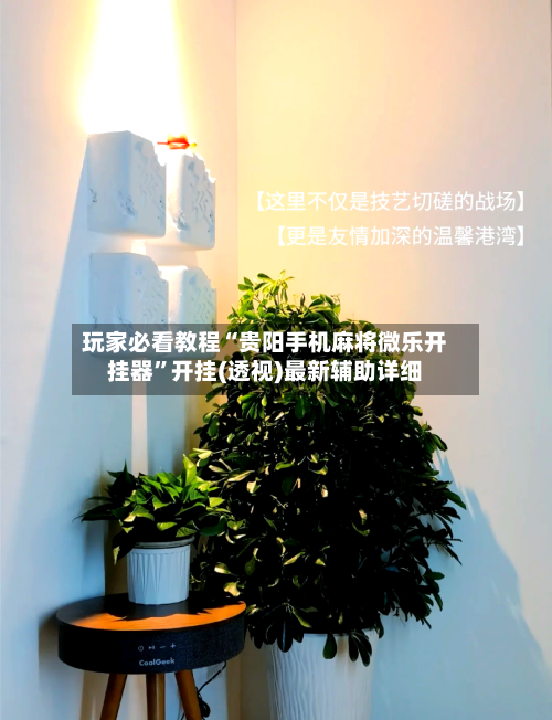 玩家必看教程“贵阳手机麻将微乐开挂器”开挂(透视)最新辅助详细-第2张图片