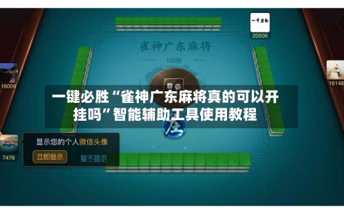 一键必胜“雀神广东麻将真的可以开挂吗”智能辅助工具使用教程-第2张图片