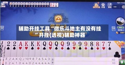 辅助开挂工具“微乐斗地主有没有挂”开挂(透视)辅助神器