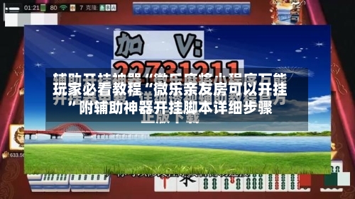 玩家必看教程“微乐亲友房可以开挂	”附辅助神器开挂脚本详细步骤-第3张图片