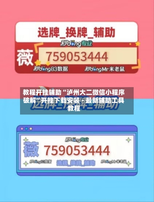 教程开挂辅助“泸州大二微信小程序破解”开挂下载安装 - 最新辅助工具教程-第2张图片