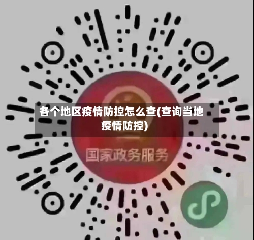 各个地区疫情防控怎么查(查询当地疫情防控)-第2张图片