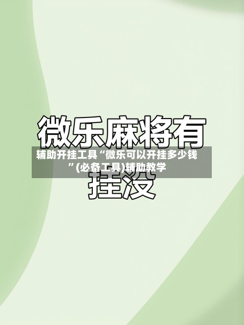 辅助开挂工具“微乐可以开挂多少钱”(必备工具)辅助教学-第2张图片