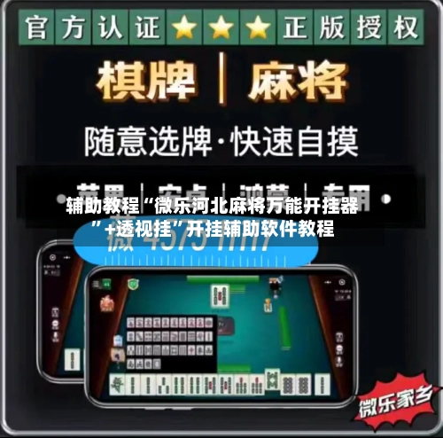 辅助教程“微乐河北麻将万能开挂器”+透视挂”开挂辅助软件教程-第2张图片