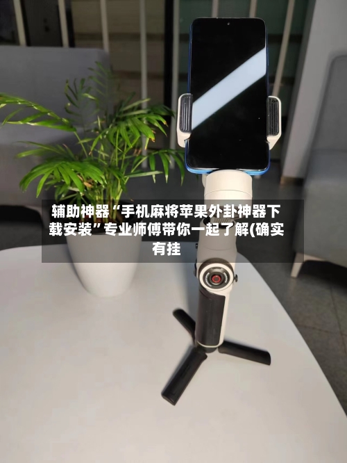 辅助神器“手机麻将苹果外卦神器下载安装”专业师傅带你一起了解(确实有挂