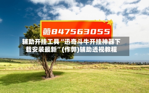 辅助开挂工具“迅奇斗牛开挂神器下载安装最新”(作弊)辅助透视教程-第2张图片