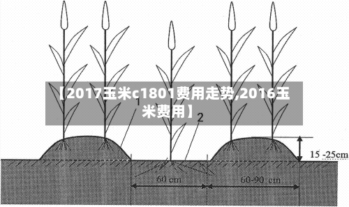 【2017玉米c1801费用走势,2016玉米费用】