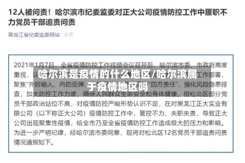 哈尔滨是疫情的什么地区/哈尔滨属于疫情地区吗-第2张图片