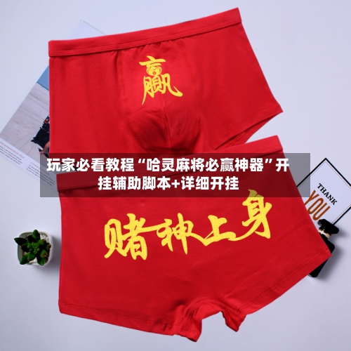 玩家必看教程“哈灵麻将必赢神器”开挂辅助脚本+详细开挂-第2张图片