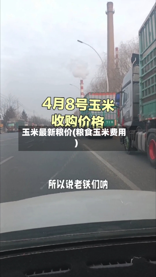 玉米最新粮价(粮食玉米费用)-第2张图片