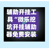辅助开挂工具“微乐挖坑开挂辅助器免费安装下载”(透视挂)辅助下载教程-第2张图片