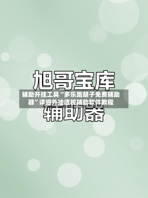 辅助开挂工具“多乐跑胡子免费辅助器”详细外挂透视辅助软件教程