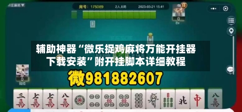 辅助神器“微乐捉鸡麻将万能开挂器下载安装”附开挂脚本详细教程-第3张图片