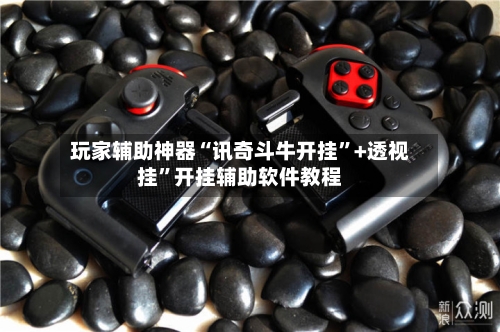 玩家辅助神器“讯奇斗牛开挂”+透视挂”开挂辅助软件教程-第3张图片