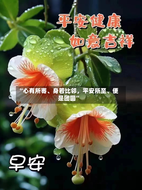 “心有所寄、身若比邻，平安所至、便是团圆”