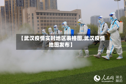 【武汉疫情实时地区表格图,武汉疫情地图发布】-第2张图片