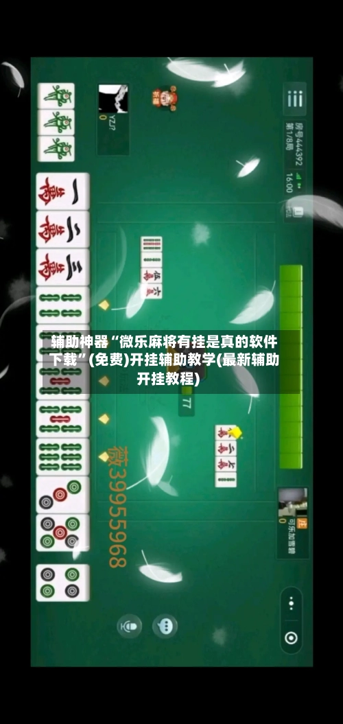 辅助神器“微乐麻将有挂是真的软件下载	”(免费)开挂辅助教学(最新辅助开挂教程)-第2张图片