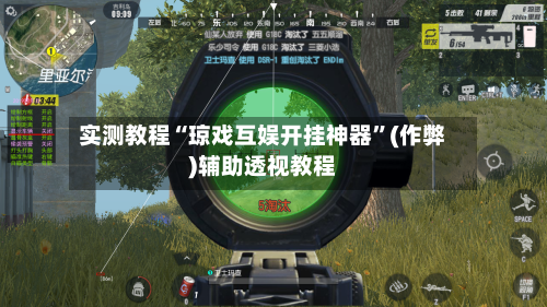 实测教程“琼戏互娱开挂神器”(作弊)辅助透视教程-第3张图片
