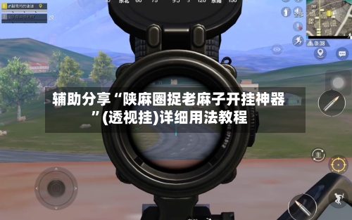 辅助分享“陕麻圈捉老麻子开挂神器”(透视挂)详细用法教程-第3张图片
