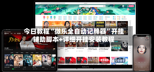 今日教程“微乐全自动记牌器	”开挂辅助脚本+详细开挂安装教程-第2张图片
