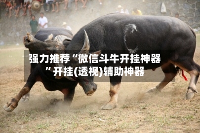 强力推荐“微信斗牛开挂神器”开挂(透视)辅助神器