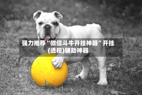 强力推荐“微信斗牛开挂神器	”开挂(透视)辅助神器-第2张图片