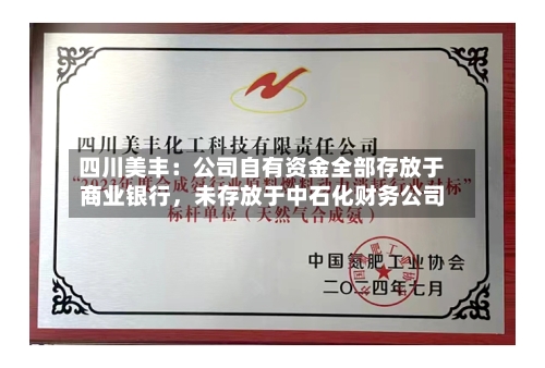 四川美丰：公司自有资金全部存放于商业银行，未存放于中石化财务公司-第2张图片