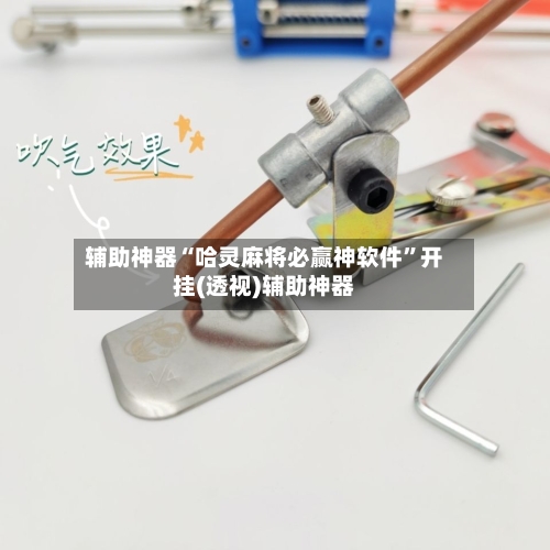 辅助神器“哈灵麻将必赢神软件”开挂(透视)辅助神器-第2张图片