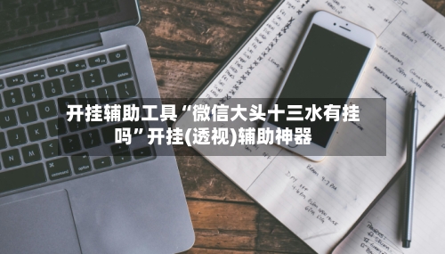 开挂辅助工具“微信大头十三水有挂吗”开挂(透视)辅助神器-第2张图片
