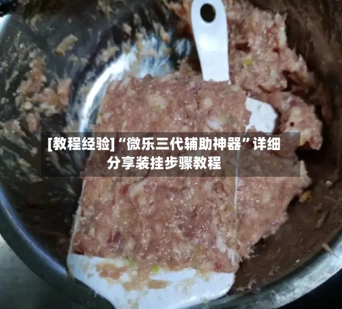 [教程经验]“微乐三代辅助神器”详细分享装挂步骤教程-第2张图片