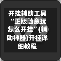 开挂辅助工具“正版随意玩怎么开挂”(辅助神器)开挂详细教程-第3张图片
