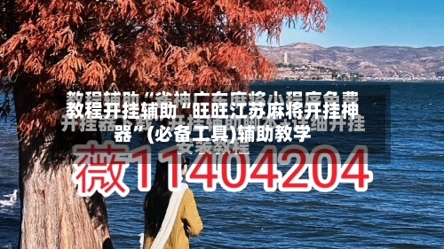 教程开挂辅助“旺旺江苏麻将开挂神器”(必备工具)辅助教学-第3张图片