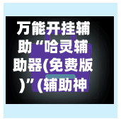 万能开挂辅助“哈灵辅助器(免费版)	”(辅助神器)开挂详细教程-第2张图片