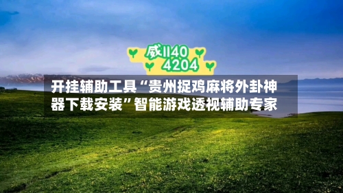 开挂辅助工具“贵州捉鸡麻将外卦神器下载安装”智能游戏透视辅助专家-第2张图片