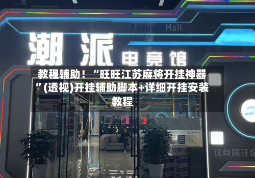 教程辅助！“旺旺江苏麻将开挂神器”(透视)开挂辅助脚本+详细开挂安装教程-第2张图片