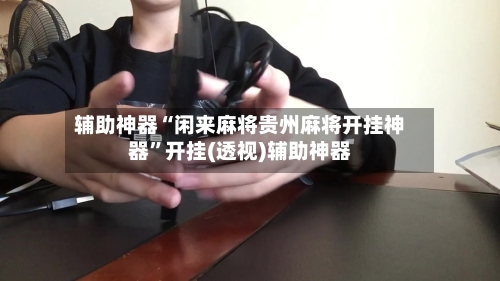 辅助神器“闲来麻将贵州麻将开挂神器”开挂(透视)辅助神器-第3张图片