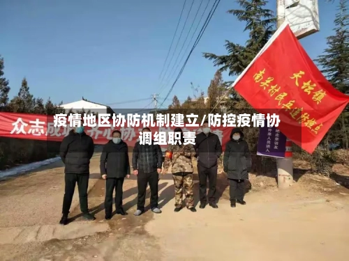 疫情地区协防机制建立/防控疫情协调组职责-第3张图片