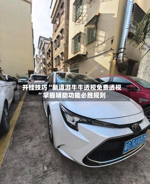 开挂技巧“新道游牛牛透视免费透视”掌握辅助功能必胜规则