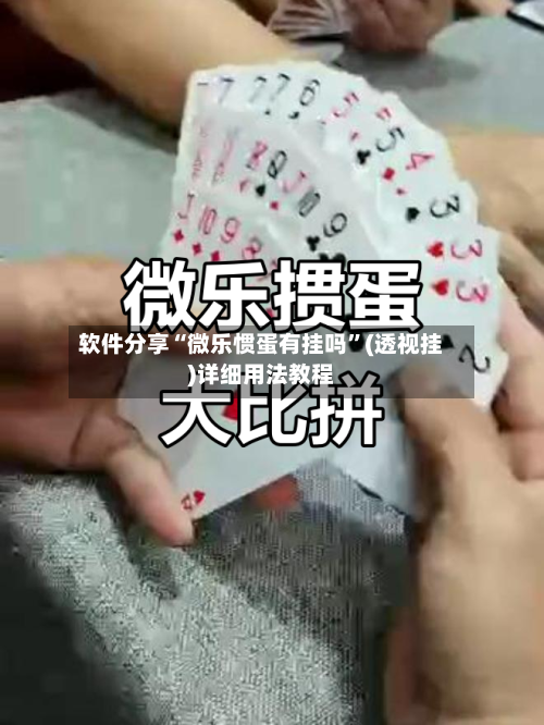 软件分享“微乐惯蛋有挂吗”(透视挂)详细用法教程-第2张图片