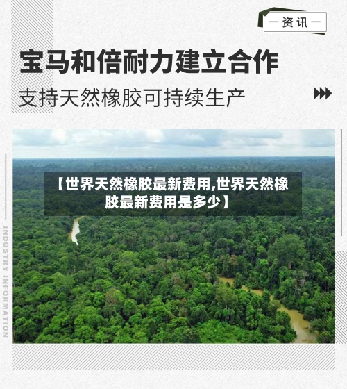 【世界天然橡胶最新费用,世界天然橡胶最新费用是多少】-第3张图片