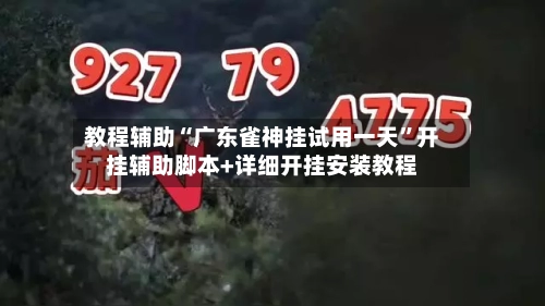 教程辅助“广东雀神挂试用一天	”开挂辅助脚本+详细开挂安装教程-第2张图片