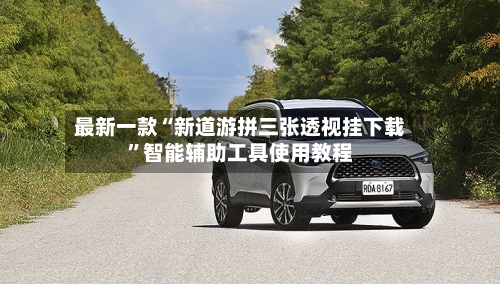 最新一款“新道游拼三张透视挂下载”智能辅助工具使用教程-第2张图片