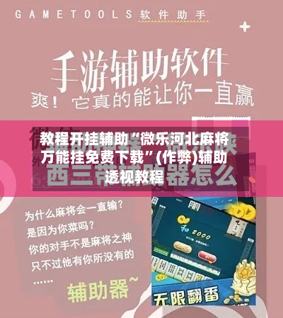 教程开挂辅助“微乐河北麻将万能挂免费下载	”(作弊)辅助透视教程-第2张图片