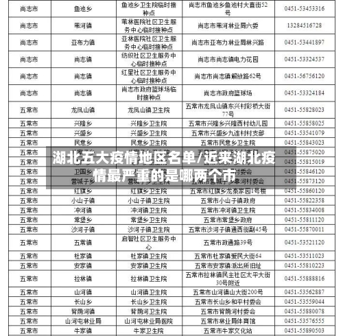 湖北五大疫情地区名单/近来湖北疫情最严重的是哪两个市-第2张图片