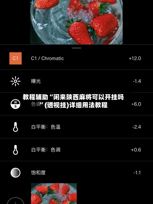 教程辅助“闲来陕西麻将可以开挂吗”(透视挂)详细用法教程-第2张图片
