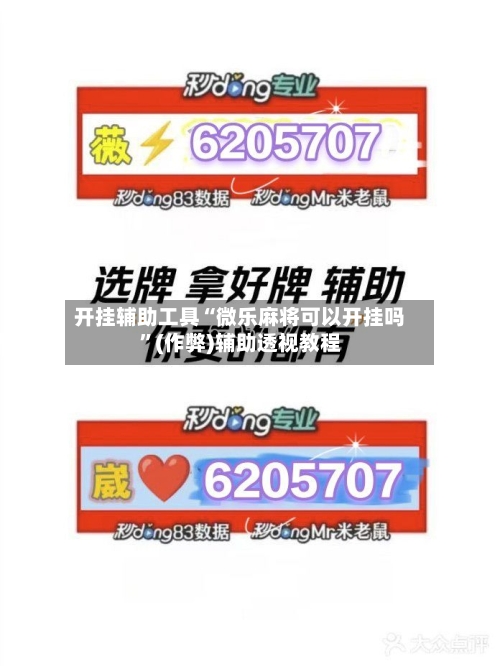 开挂辅助工具“微乐麻将可以开挂吗”(作弊)辅助透视教程