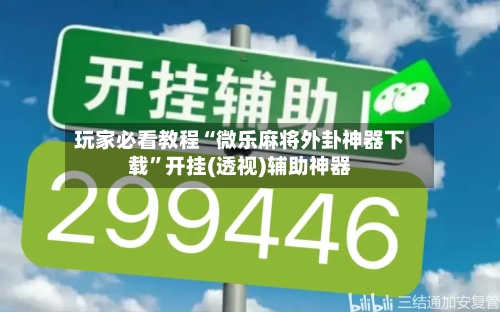 玩家必看教程“微乐麻将外卦神器下载”开挂(透视)辅助神器-第2张图片