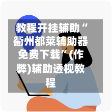 教程开挂辅助“衢州都莱辅助器免费下载”(作弊)辅助透视教程