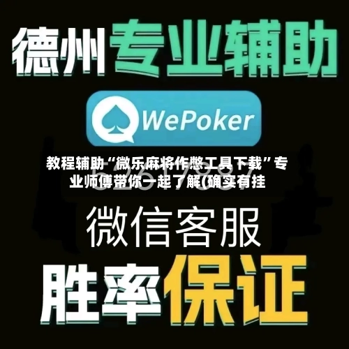 教程辅助“微乐麻将作憋工具下载”专业师傅带你一起了解(确实有挂-第3张图片